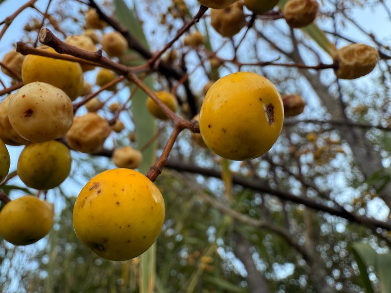 Preview of 7a44e0088dc7-jpg