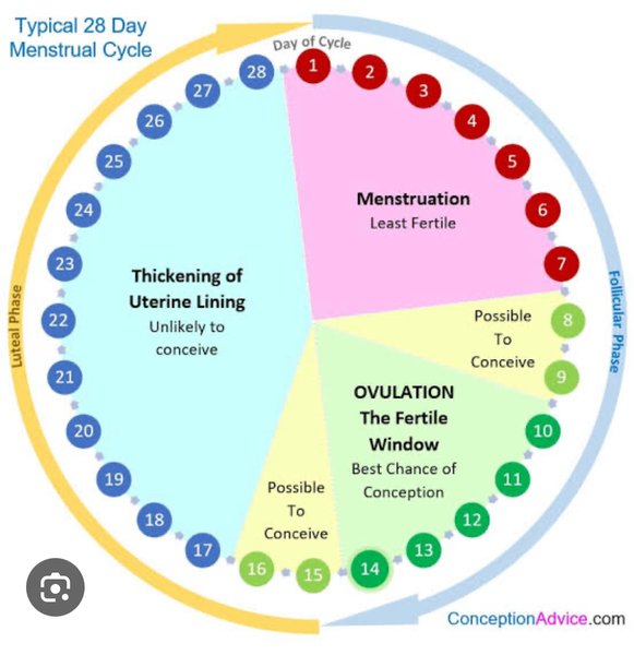 Preview of a175c38e913a-jpg