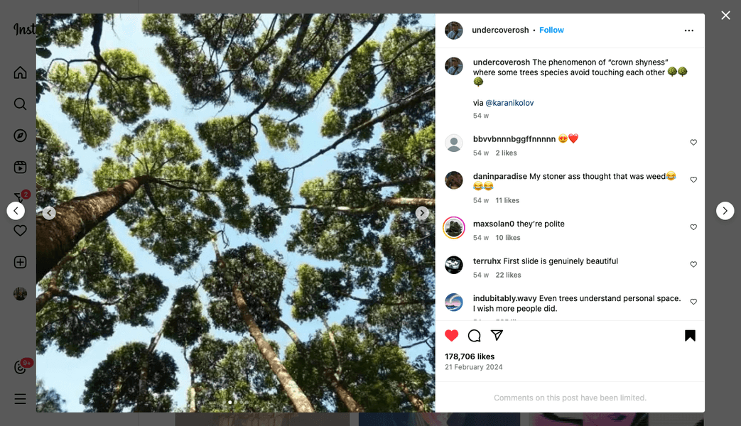 Preview of instagram-png-f9d7207d0afa44a9