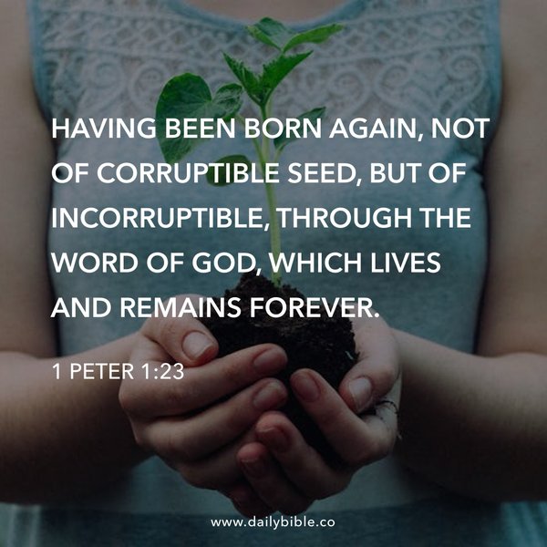 Preview of 572dd2e29b92-jpg