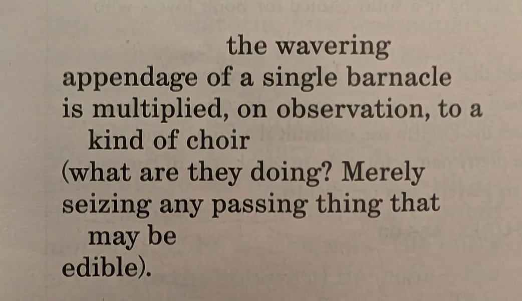 Preview of 223014256night2-jpeg