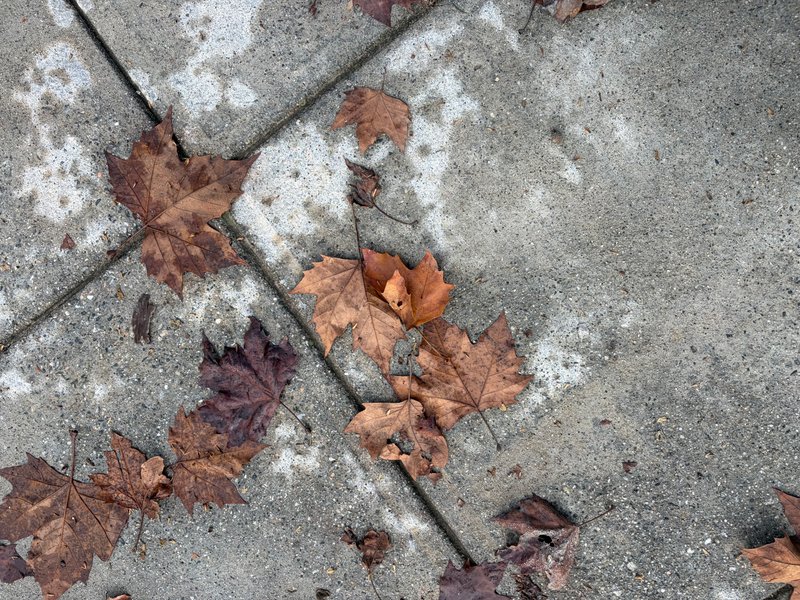 Preview of 0017-jpeg-8ac45349caef4dec