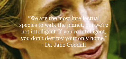 Preview of 110928pm-png