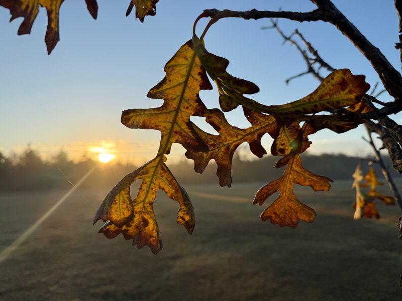 Preview of 3f543f1e8973-jpg