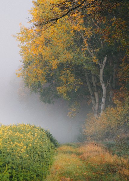 Preview of 9300-jpeg