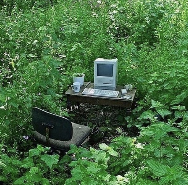 Preview of 633f87909f2b4241b68978e976c91a78-jpeg