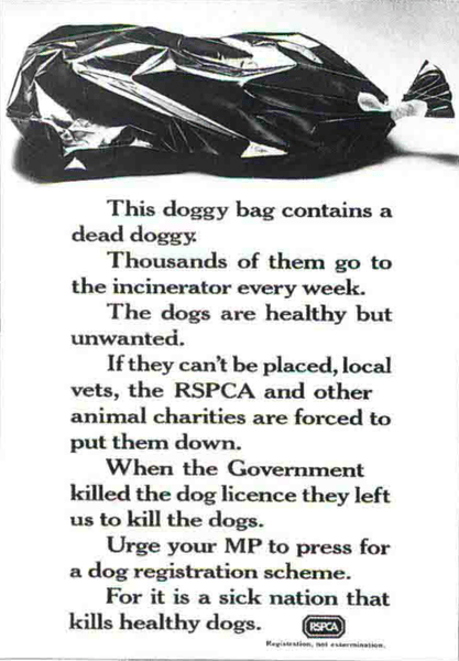 Preview of 003437-png