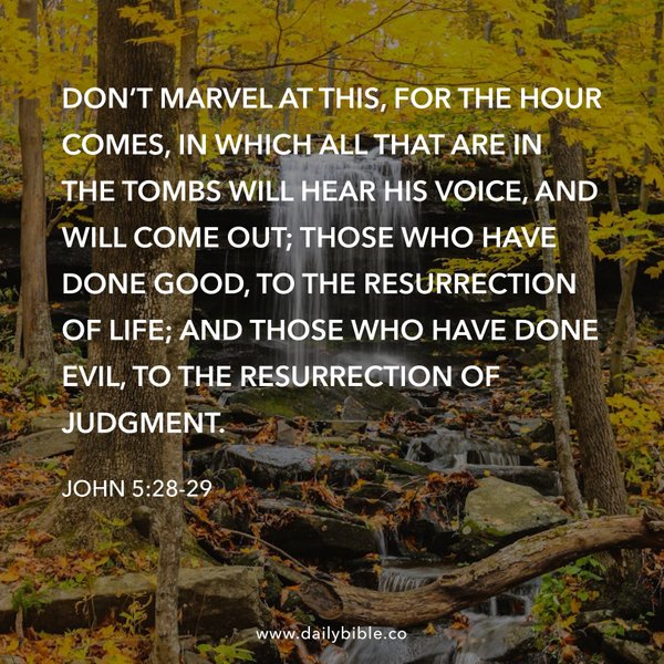 Preview of fac72dbfdda8-jpg