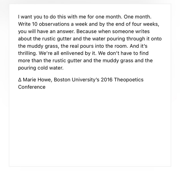 Preview of 794a23889ab2-jpg