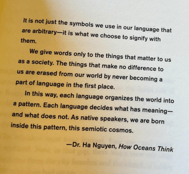 Thumbnail of The Mountain in the Sea.pdf