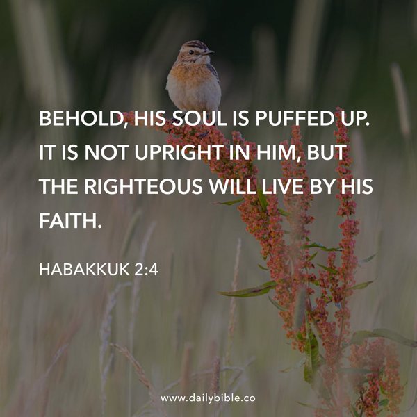 Preview of 45a73b004d01-jpg