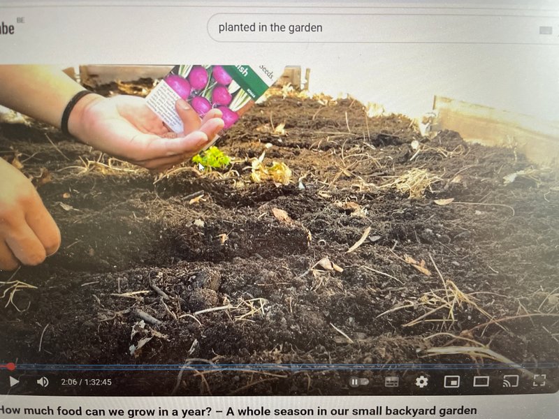 Preview of image-jpeg-a7bcbbe01a9549dd