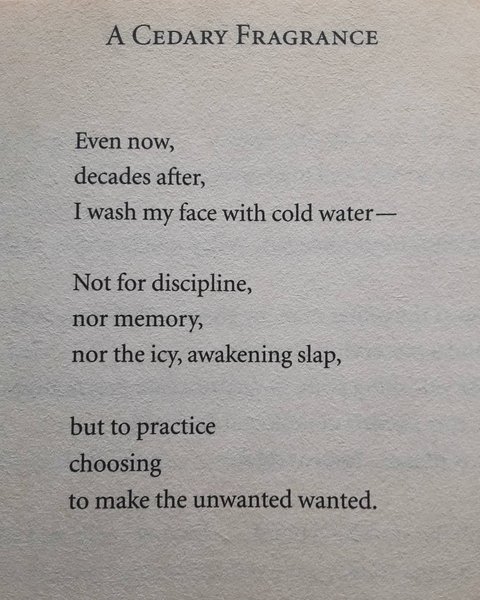 Preview of 8affe657-jpeg