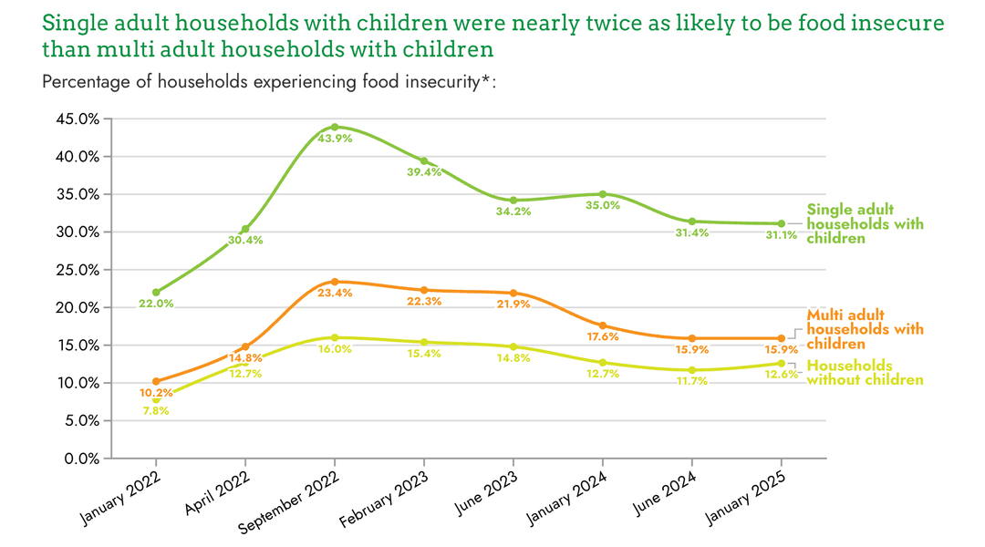 Thumbnail of Food Insecurity Tracking