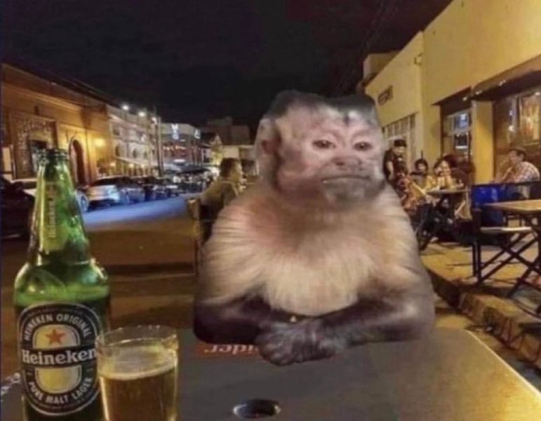 Preview of 5015-jpeg