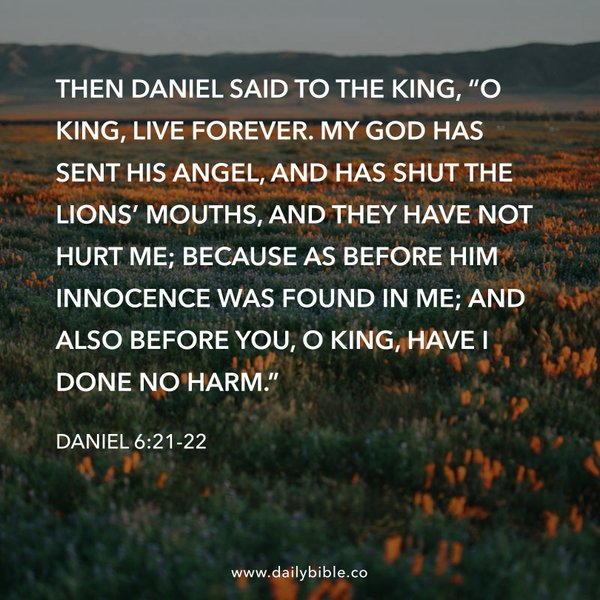 Preview of 7889f335f8da-jpg