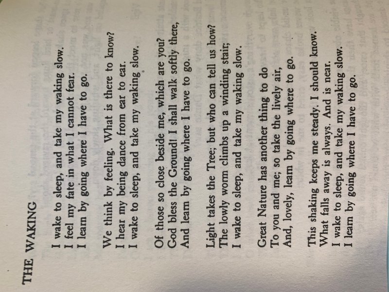 Preview of 4523-jpeg-b10dfae286b74249