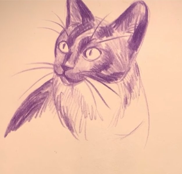 Preview of 0434-jpeg