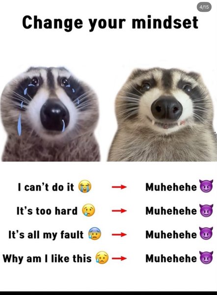 Preview of d076542e1ade-jpg