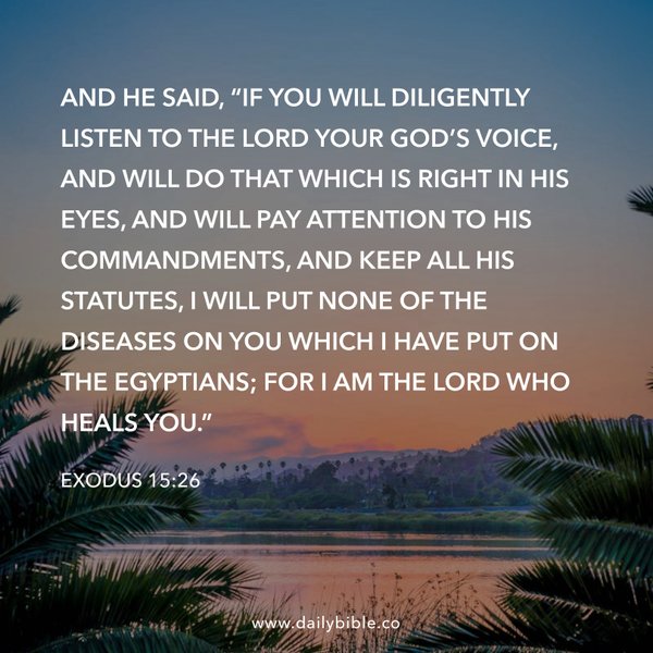 Preview of 6ba2d2439397-jpg