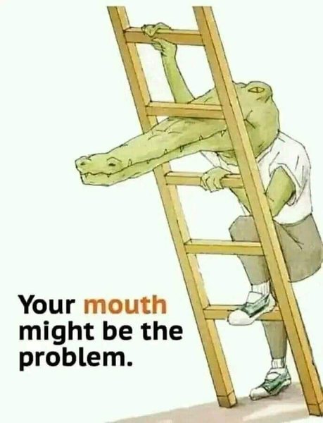 Preview of e36421ead251-jpg