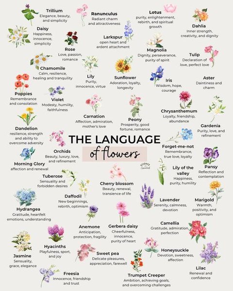 Preview of flowers-jpeg-7ae04cd1306b475f