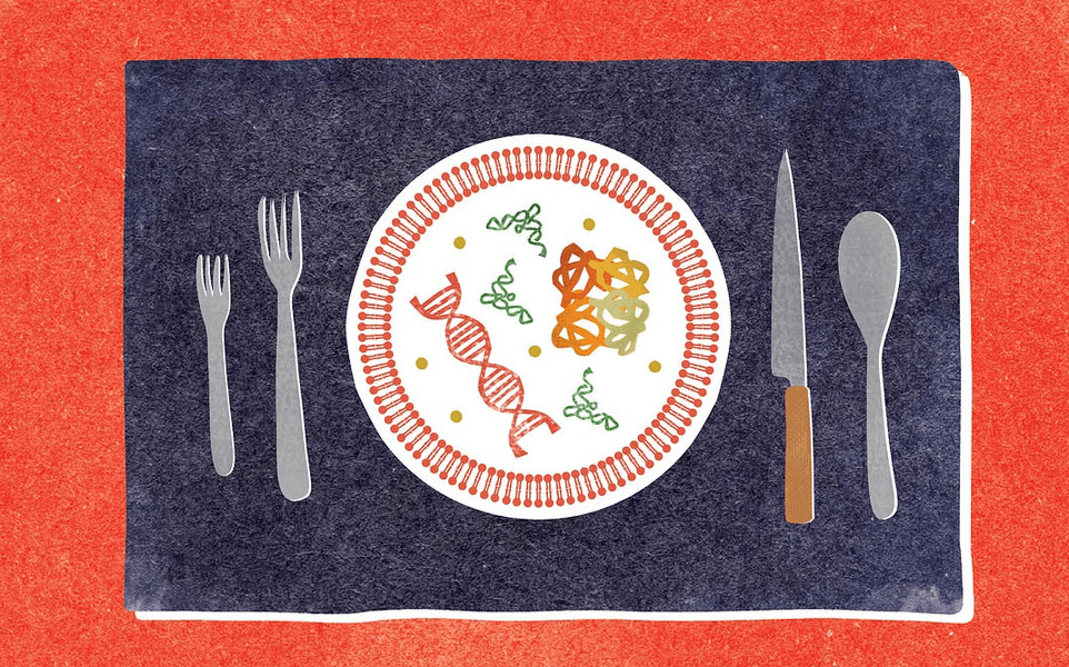 Preview of 41744pm-png-7c59cd5f0cc2424f