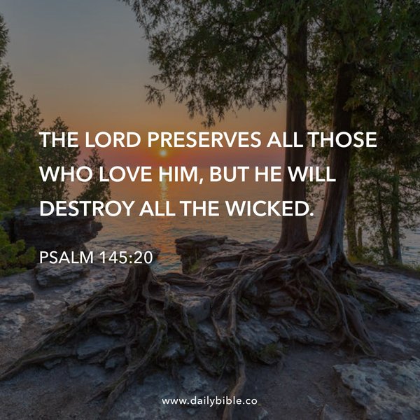 Preview of 4058d71bd609-jpg