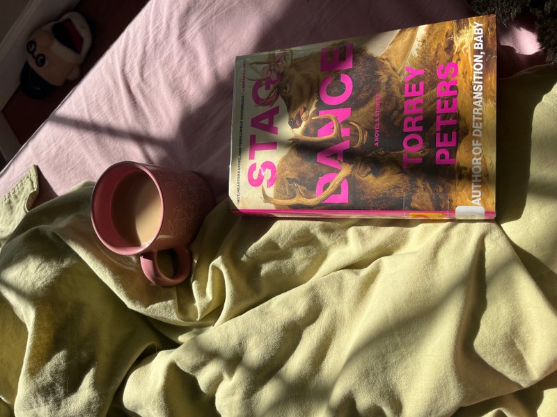 Preview of 9558-jpeg