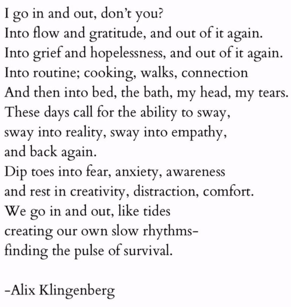 Preview of c1af453f42932b270d980223a724a83b-png