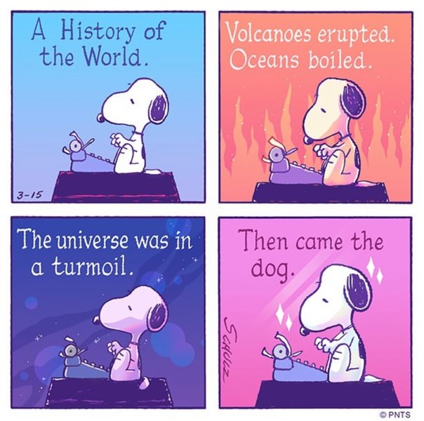 Preview of 211208e68aad-jpeg