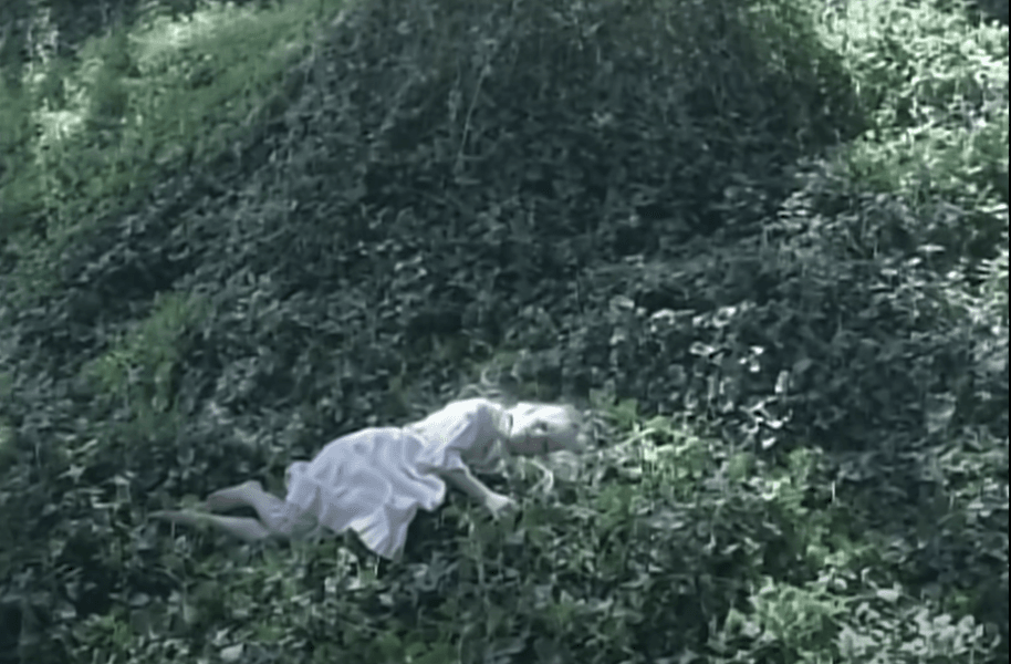 Preview of scvwsvvdw-png