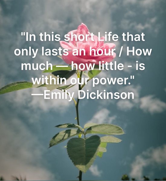 Preview of 3972-jpg-c0d5ba0521c3409d