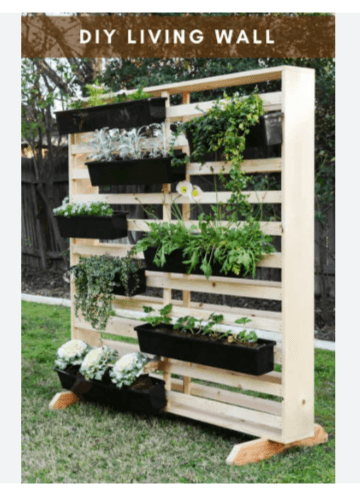 Thumbnail of creating a wall around vegetable garden - Google Search