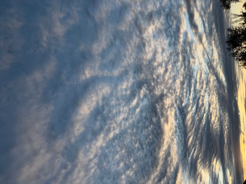 Preview of c2b632007352-jpg