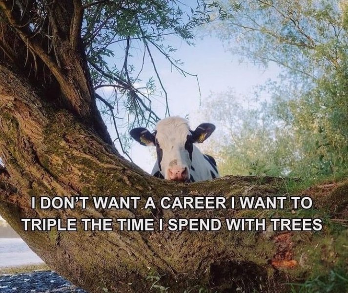 Preview of 9620-jpeg