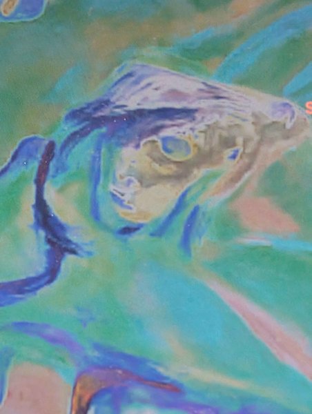 Preview of dog-jpeg-3c5d6abd97374b1f