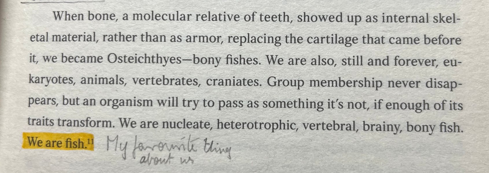 Preview of 6038-jpeg