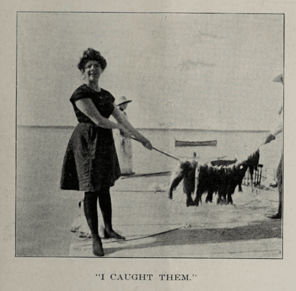 Preview of 1909-png-a3ecb9ed673f47b9