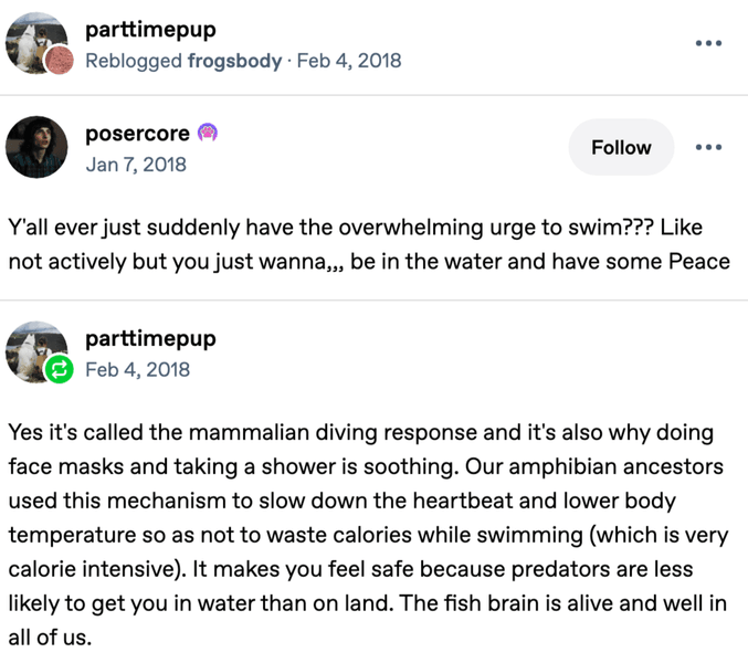 Thumbnail of Reblog by @parttimepup