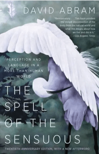 Thumbnail of The Spell of the Sensuous