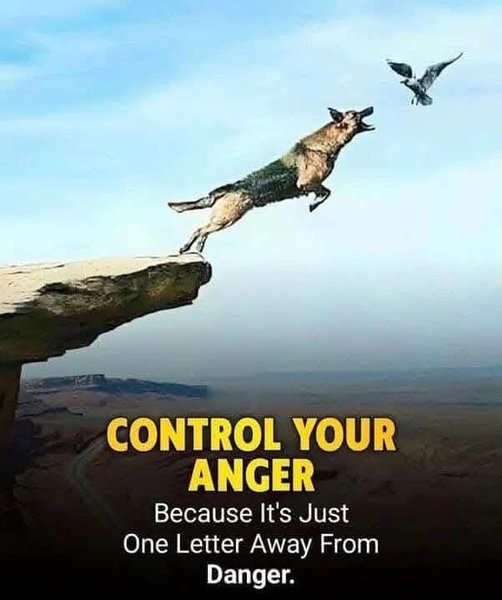 Preview of 4a5c596f1da3-jpg