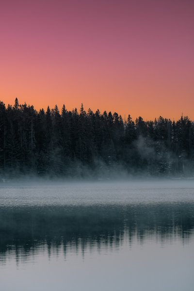 Preview of 12-jpg-f3212c6ec9e44831