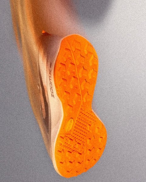 Preview of a0a1746dc8fe-jpg