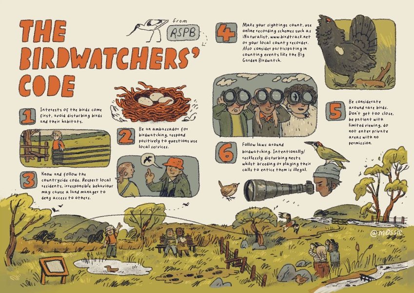 Preview of 0914-jpeg