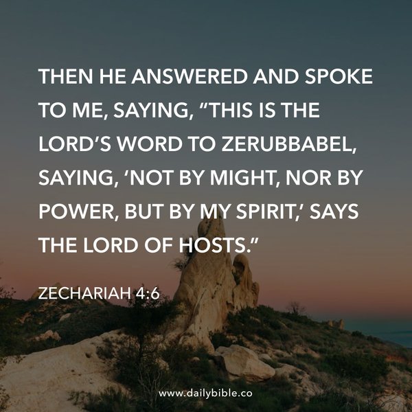 Preview of d34c314aa5f5-jpg