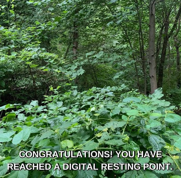 Preview of image-png-b33229e6c3fe43bc