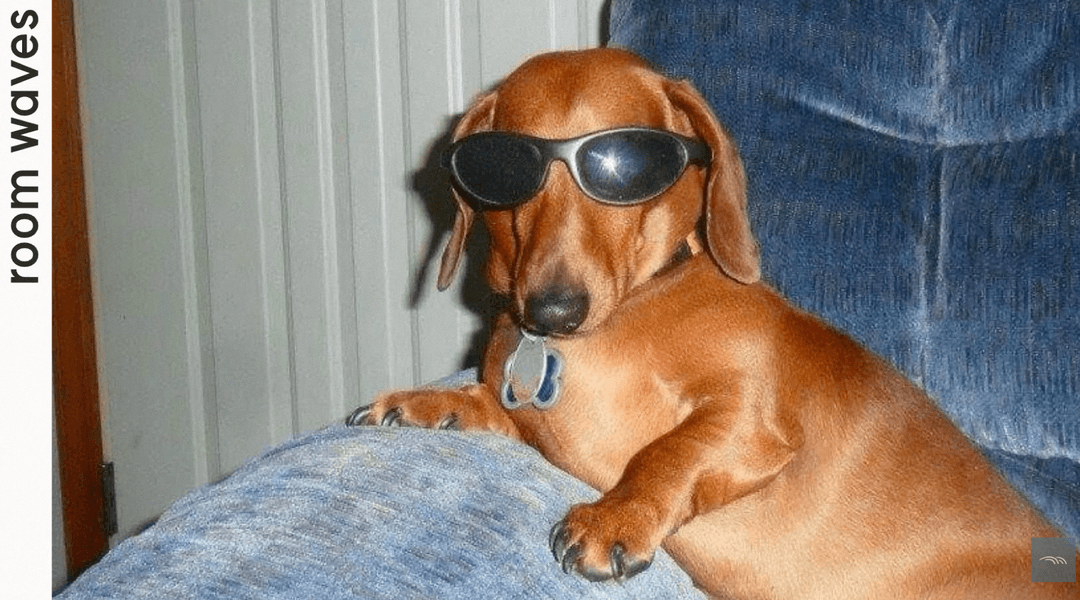 Thumbnail of  - YouTube