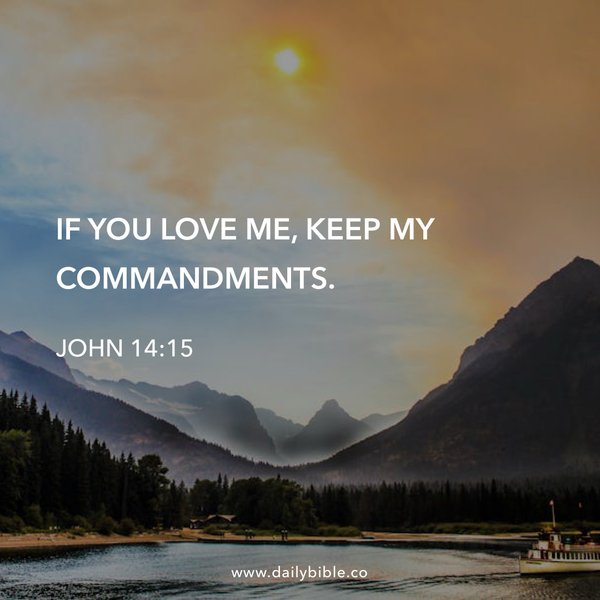 Preview of fa13585a4069-jpg