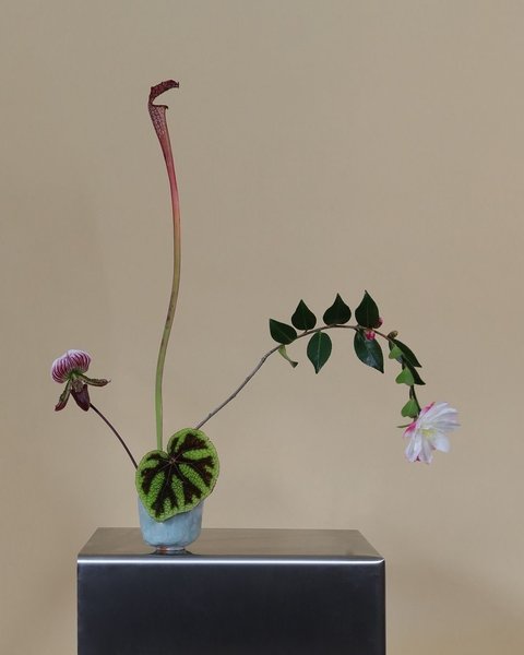 Preview of 9558-jpeg-b1987133258e4665